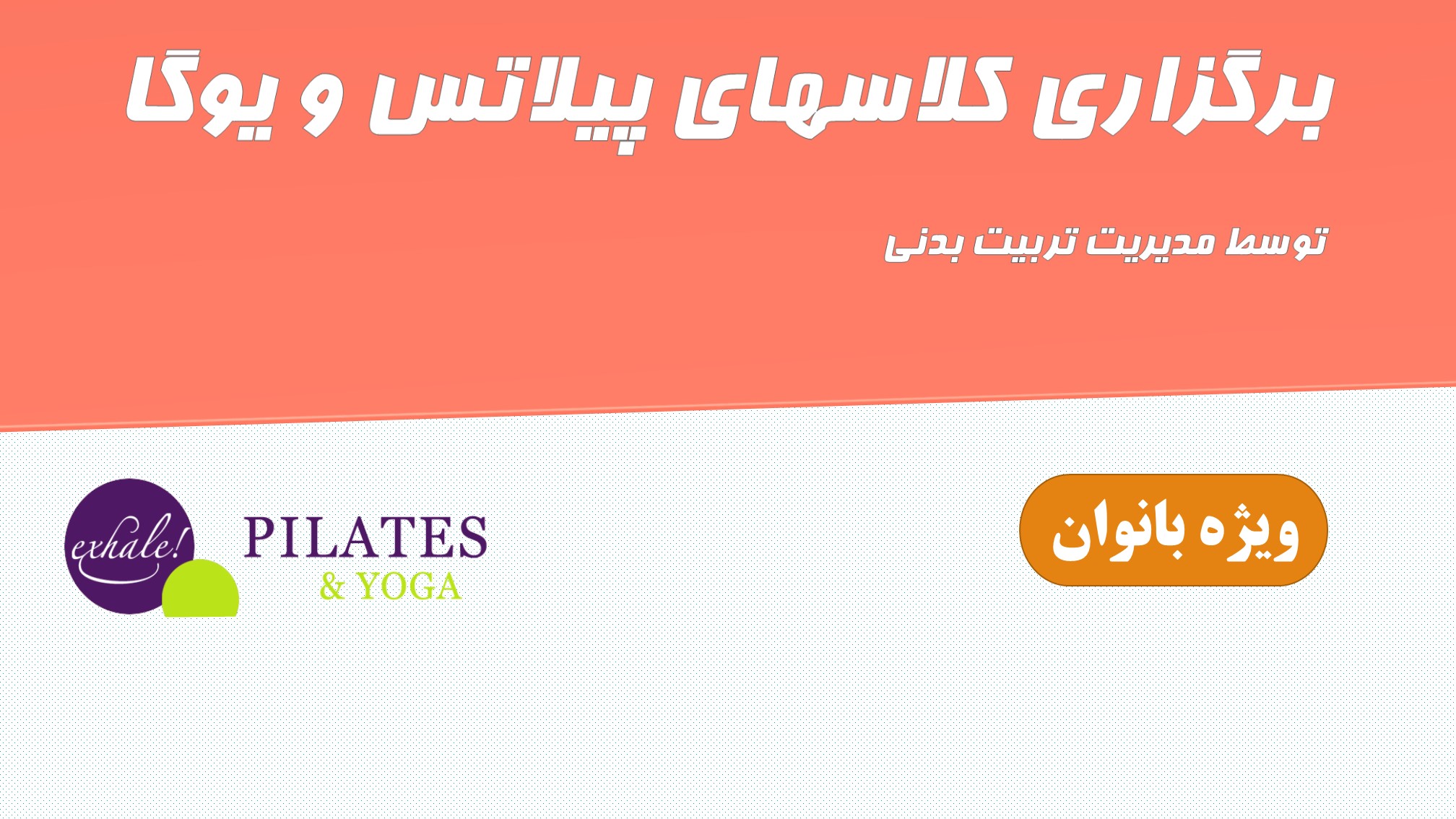 300.jpg - 713.07 کیلو بایت